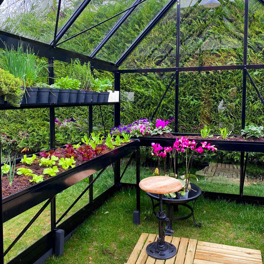 Arbeitstische von Euro-Serre in Schwarz, bepflanzt mit Salat und Blumen, in einem Gewächshaus